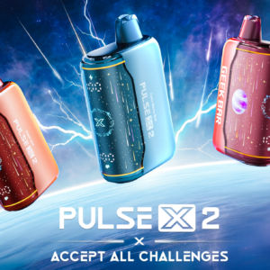 GEEK BAR PULSE X 2